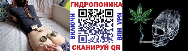 Виды наркотиков купить Североуральск Cocaine Псилоцибиновые грибы ГАШИШ Меф мяу мяу