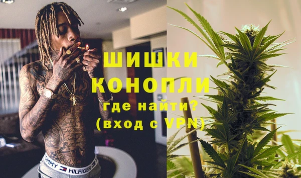индика Осташков