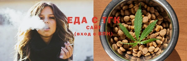 индика Осташков