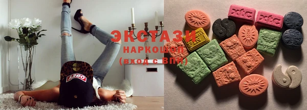 индика Осташков