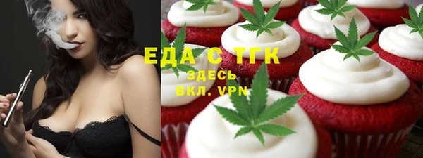 индика Осташков