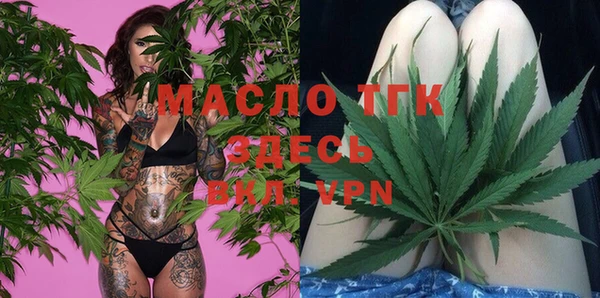 индика Осташков