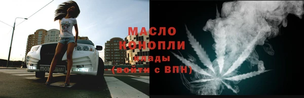 индика Осташков