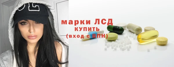 индика Осташков