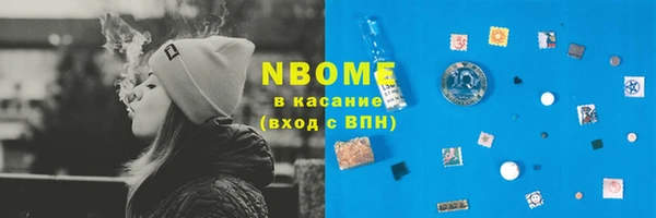 индика Осташков