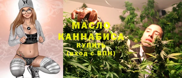 индика Осташков