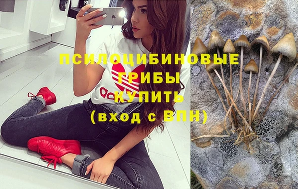 бутират Осинники
