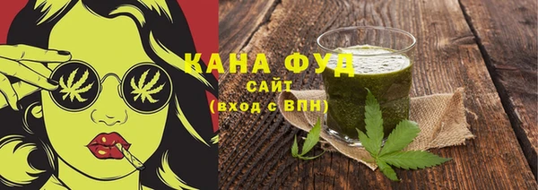 индика Осташков