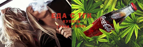 индика Осташков