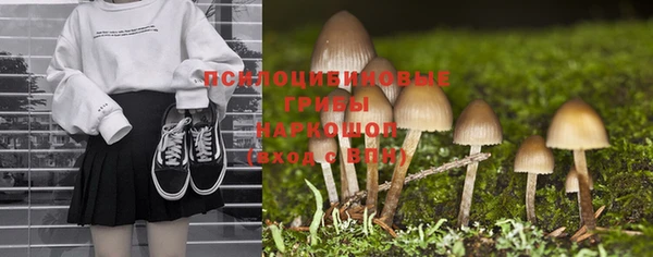 бутират Осинники