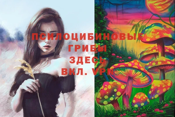 бутират Осинники