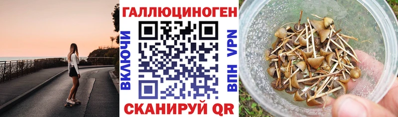 гидра рабочий сайт  Североуральск  Псилоцибиновые грибы мухоморы 